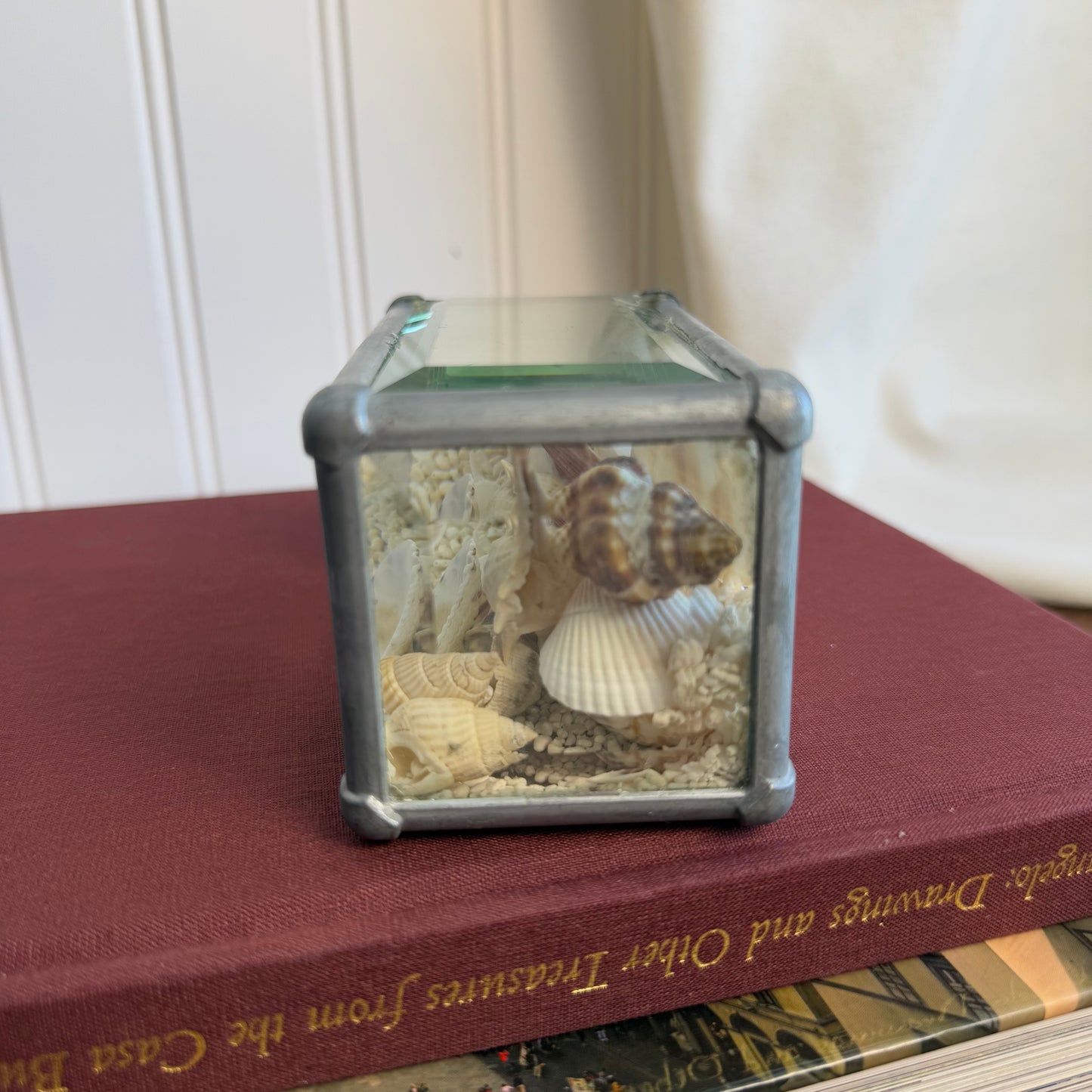 Sand and Shell beveled glass