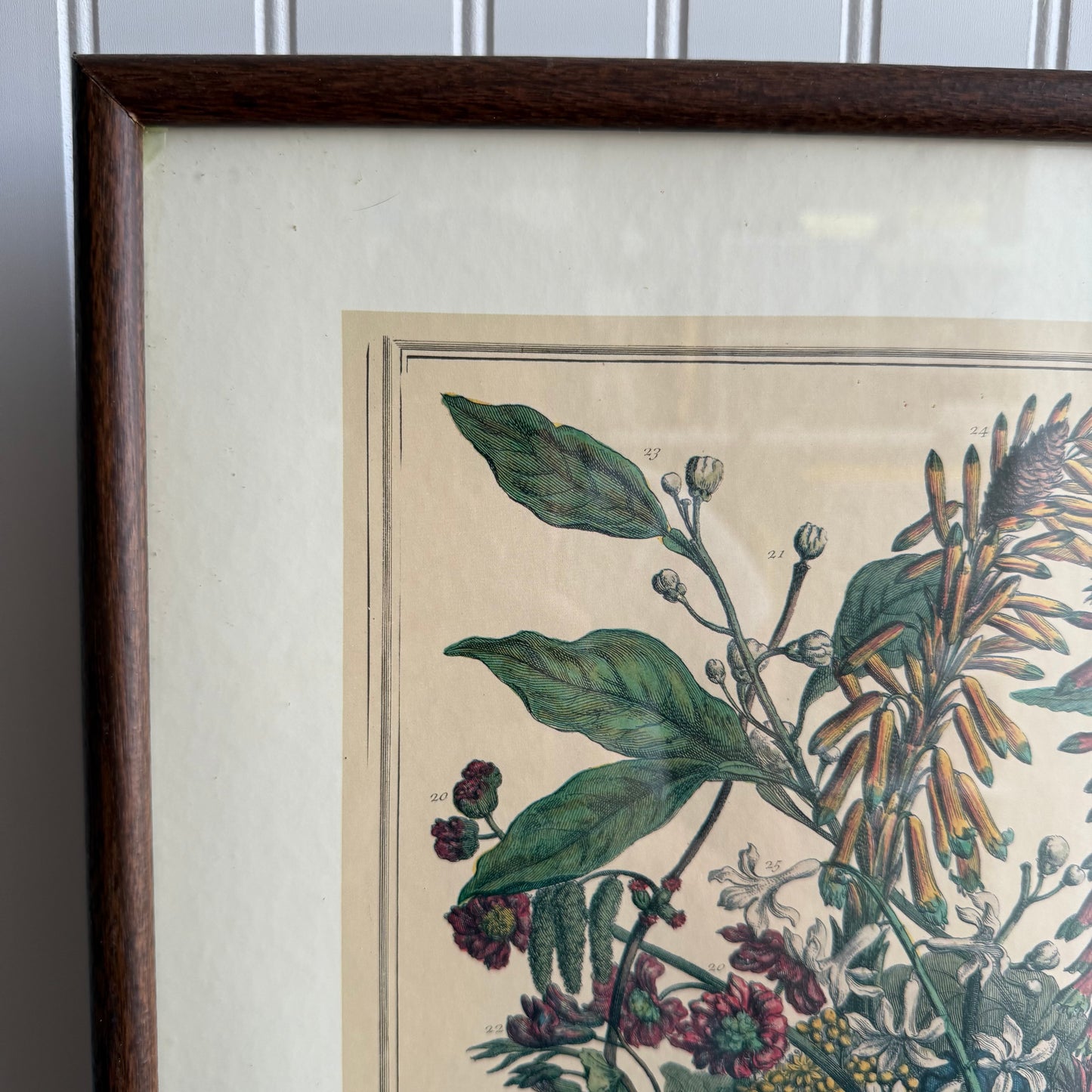 Botanical Flowers Print Framed