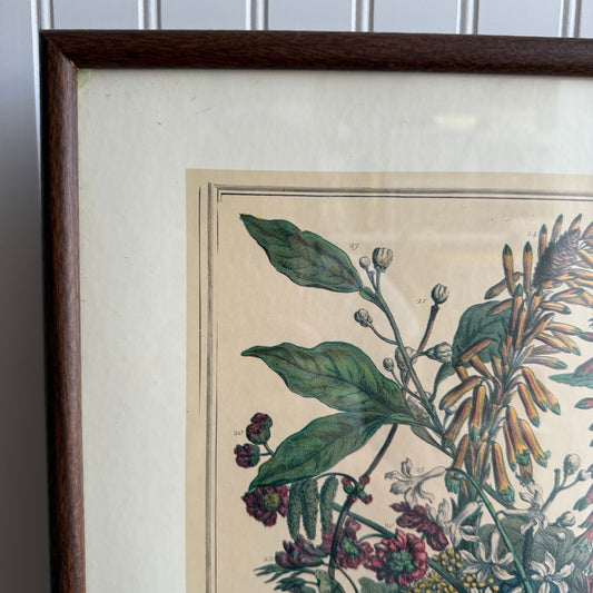 Botanical Flowers Print Framed
