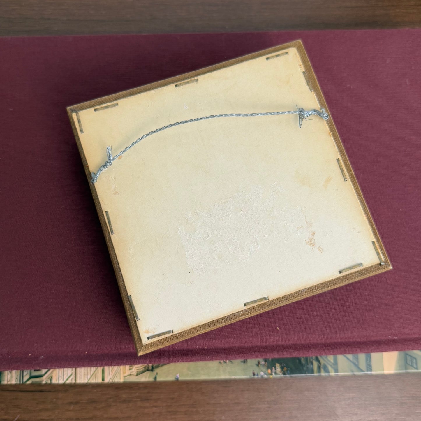 Shell piece in Shadowbox Framed