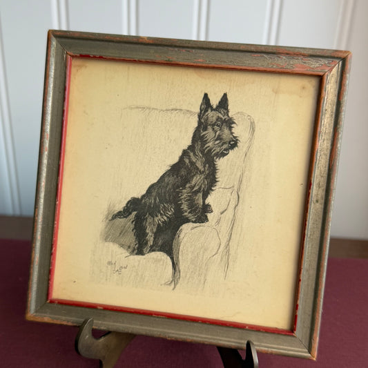 Vintage Dog Drawing signed Cecil Aldin