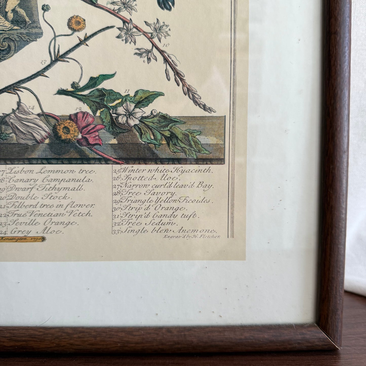 Botanical Flowers Print Framed