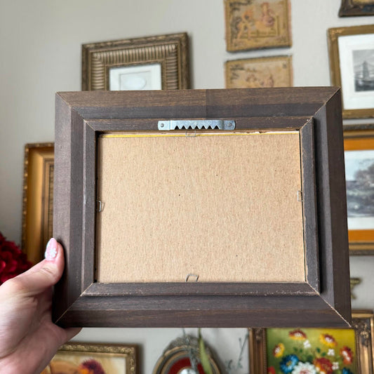 Vintage Framed Butterfly Print