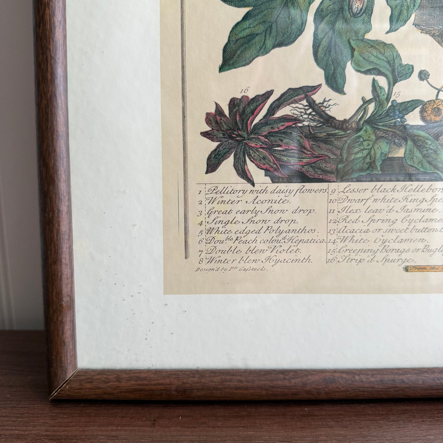 Botanical Flowers Print Framed