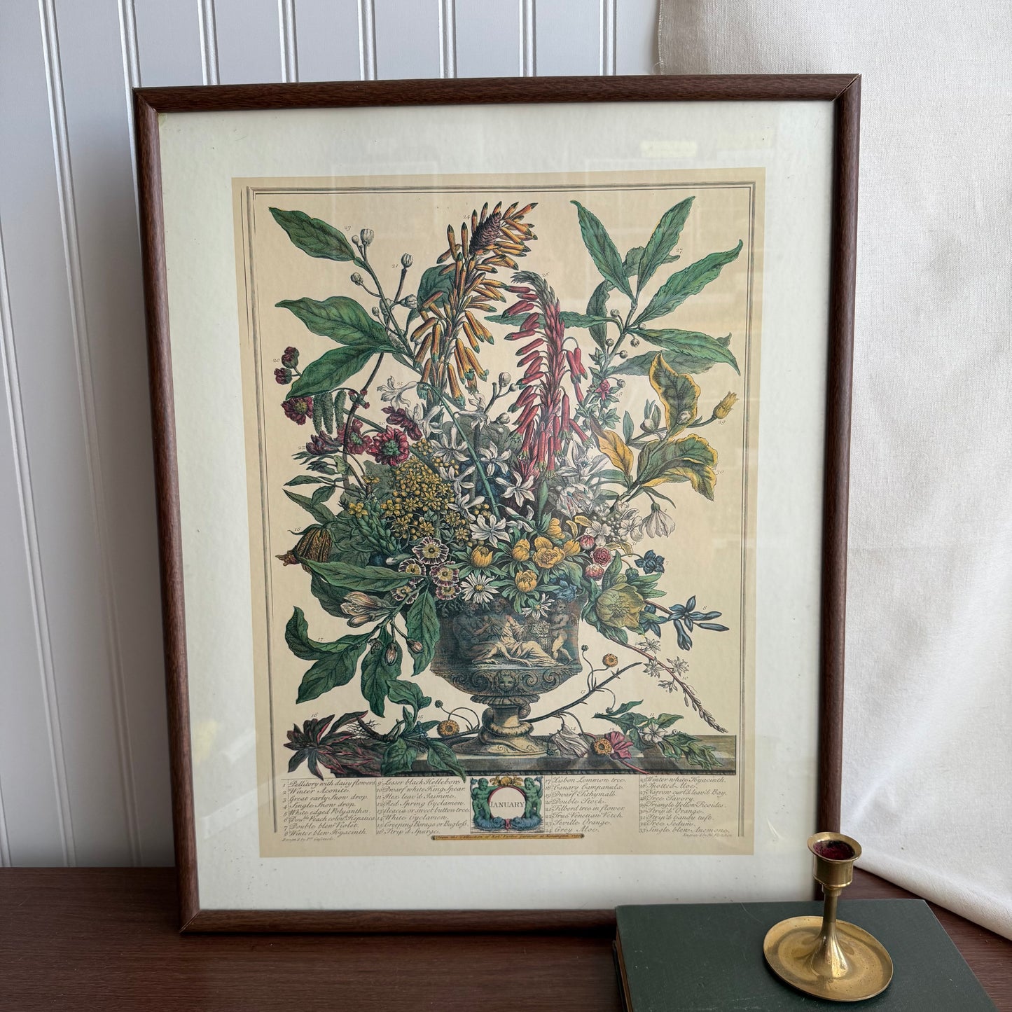 Botanical Flowers Print Framed
