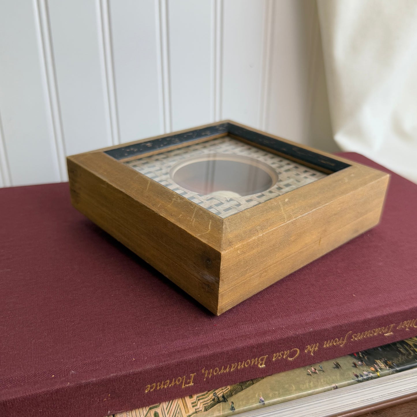 Shell piece in Shadowbox Framed