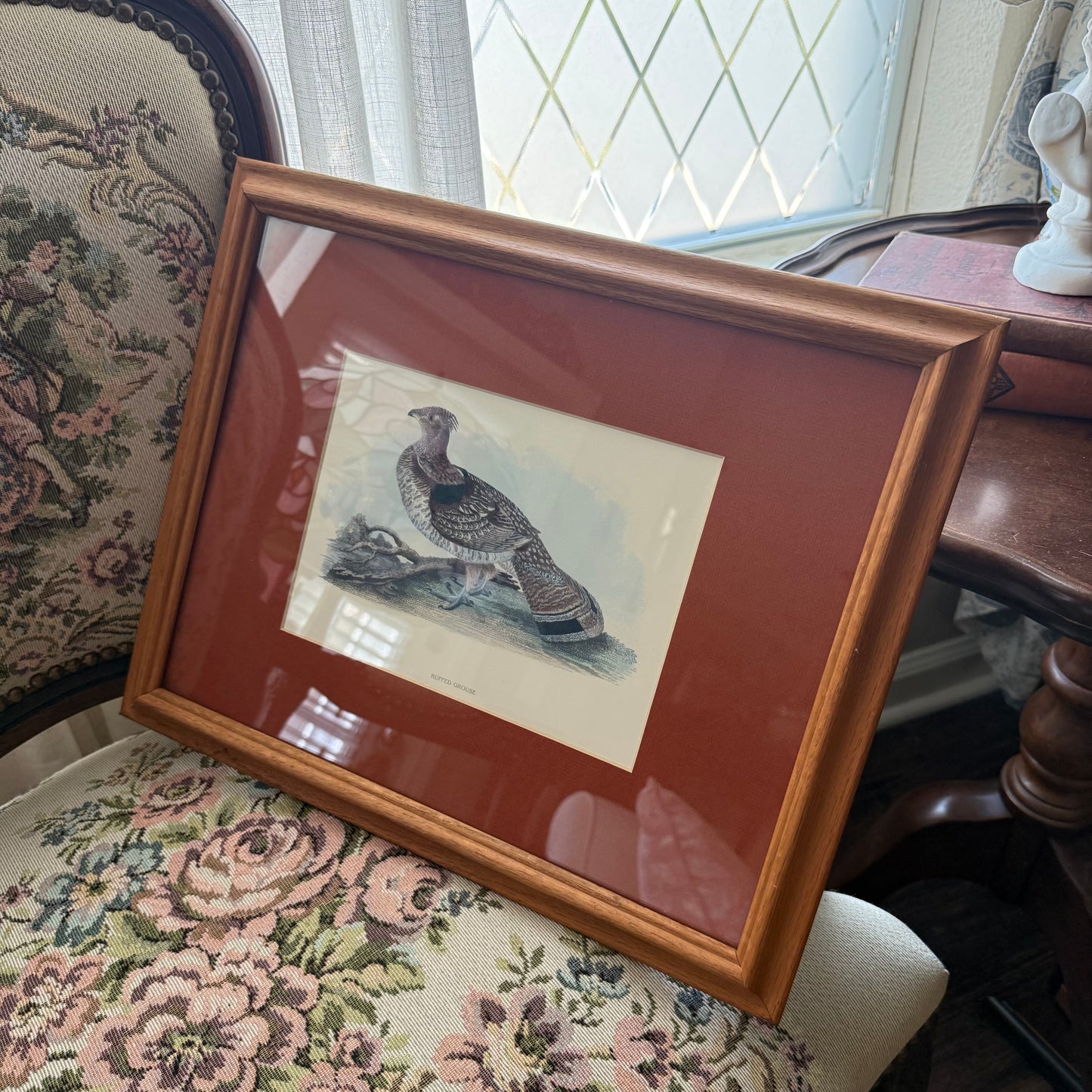 Vintage Ruffled Grouse Bird Print Framed