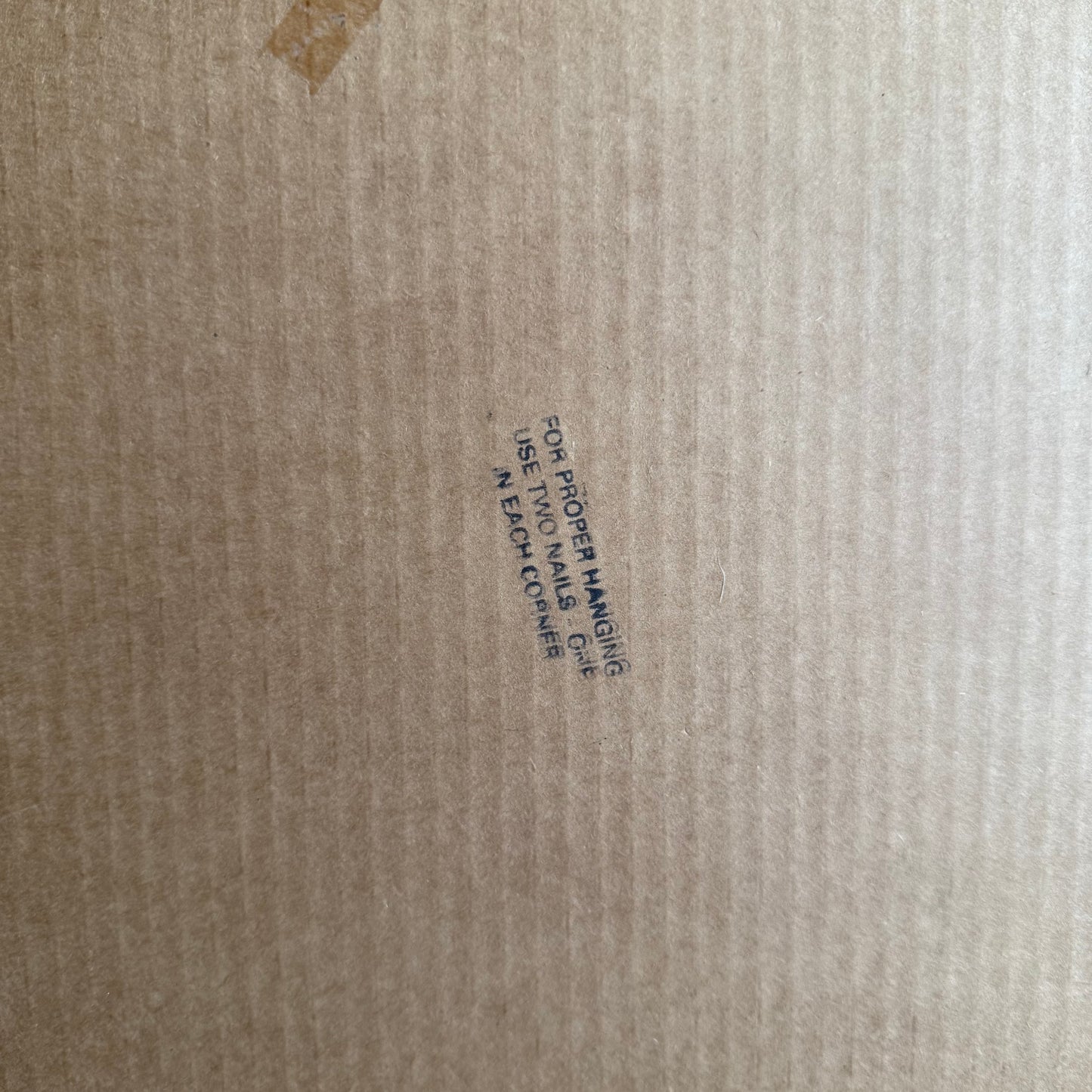 Botanical Flowers Print Framed