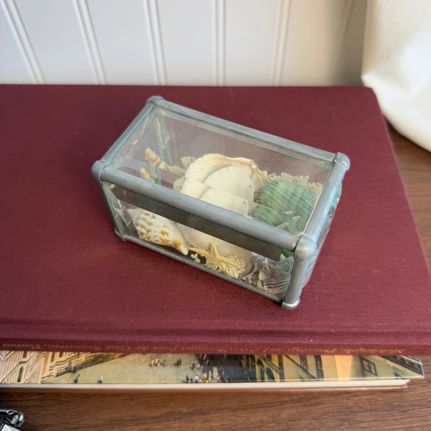 Sand and Shell beveled glass