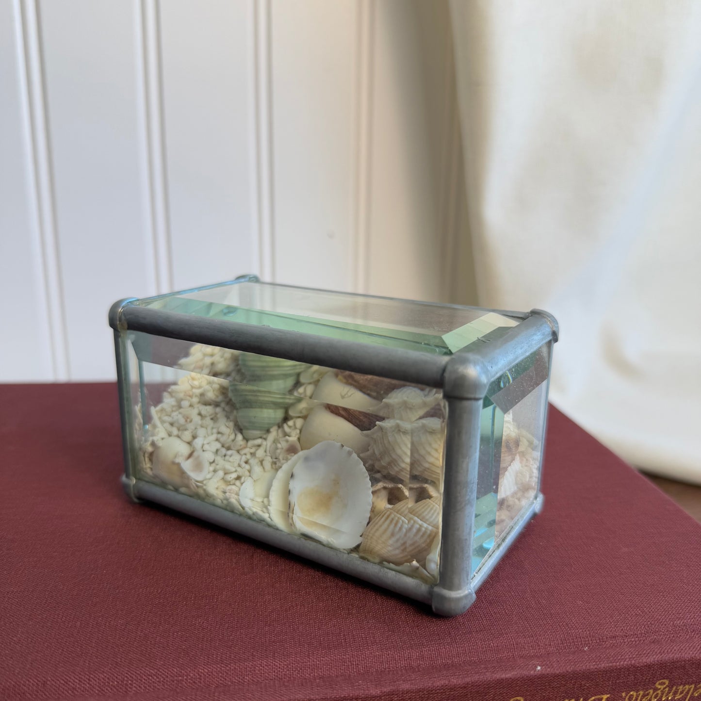 Sand and Shell beveled glass