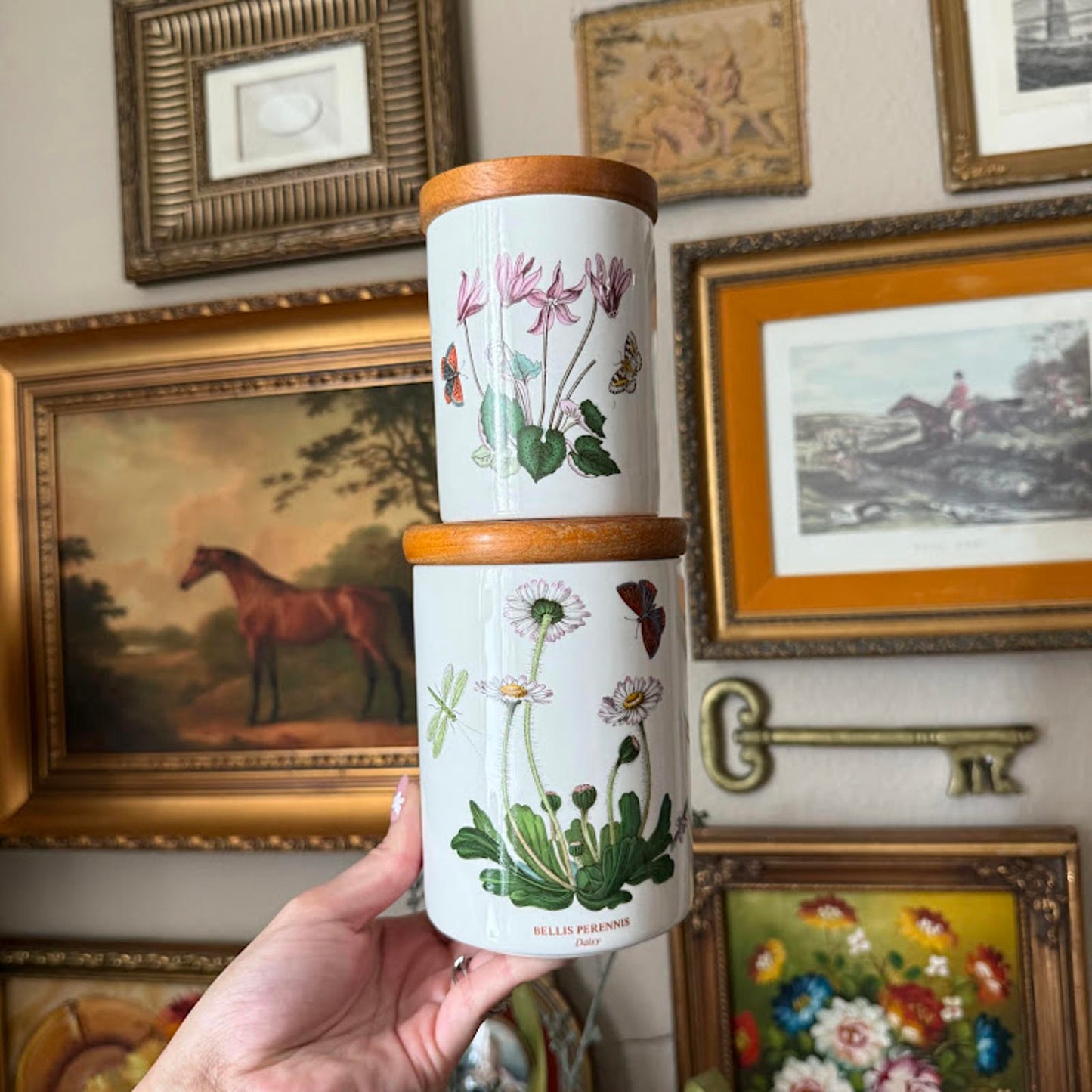 Vintage Portmeirion Botanical Garden Canister Set