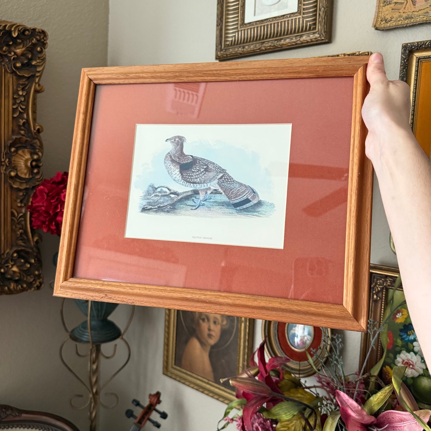 Vintage Ruffled Grouse Bird Print Framed