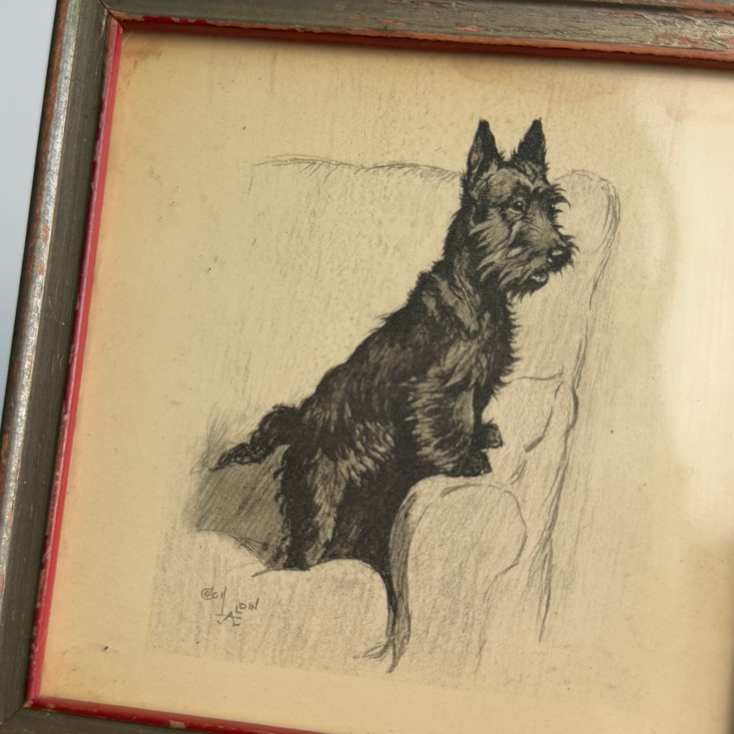 Vintage Dog Drawing signed Cecil Aldin