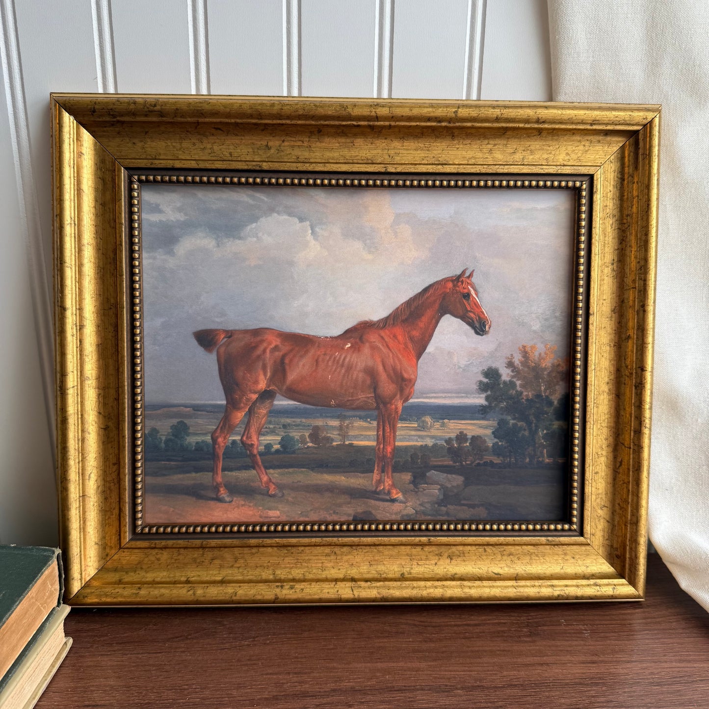 Vintage Inspired Horse in Landscape Framed Art Print Gallery Wall