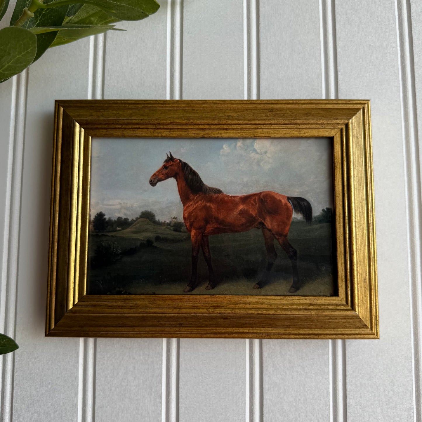 Brown Horse in Landscape Art Print Gallery Wall
