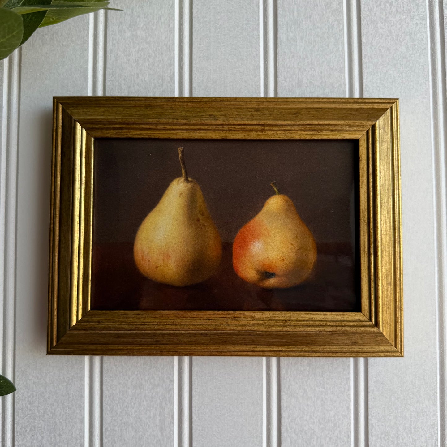 Pears Still Life Art Print Gallery Wall