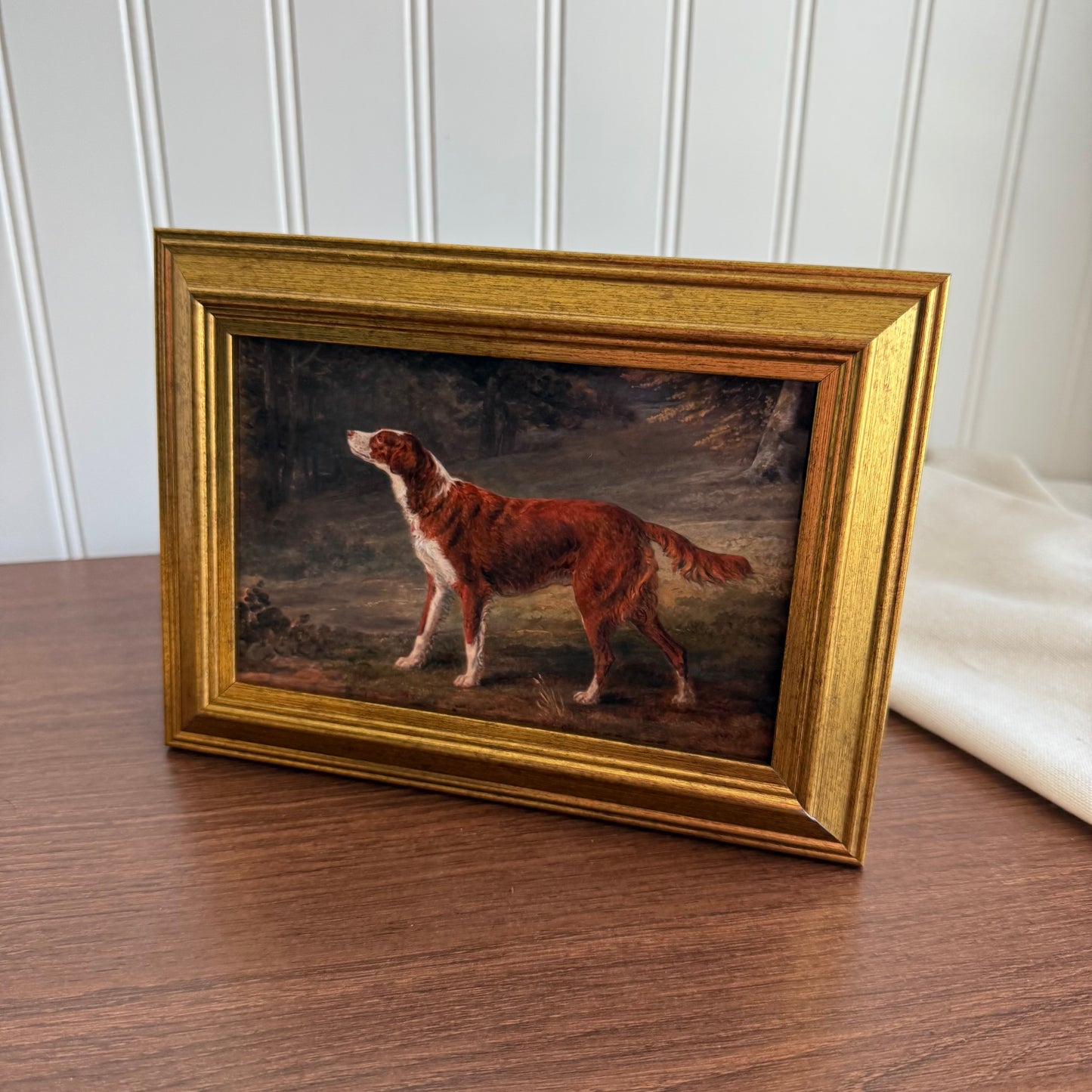Irish red and white setter dog Art Print Gallery Wall