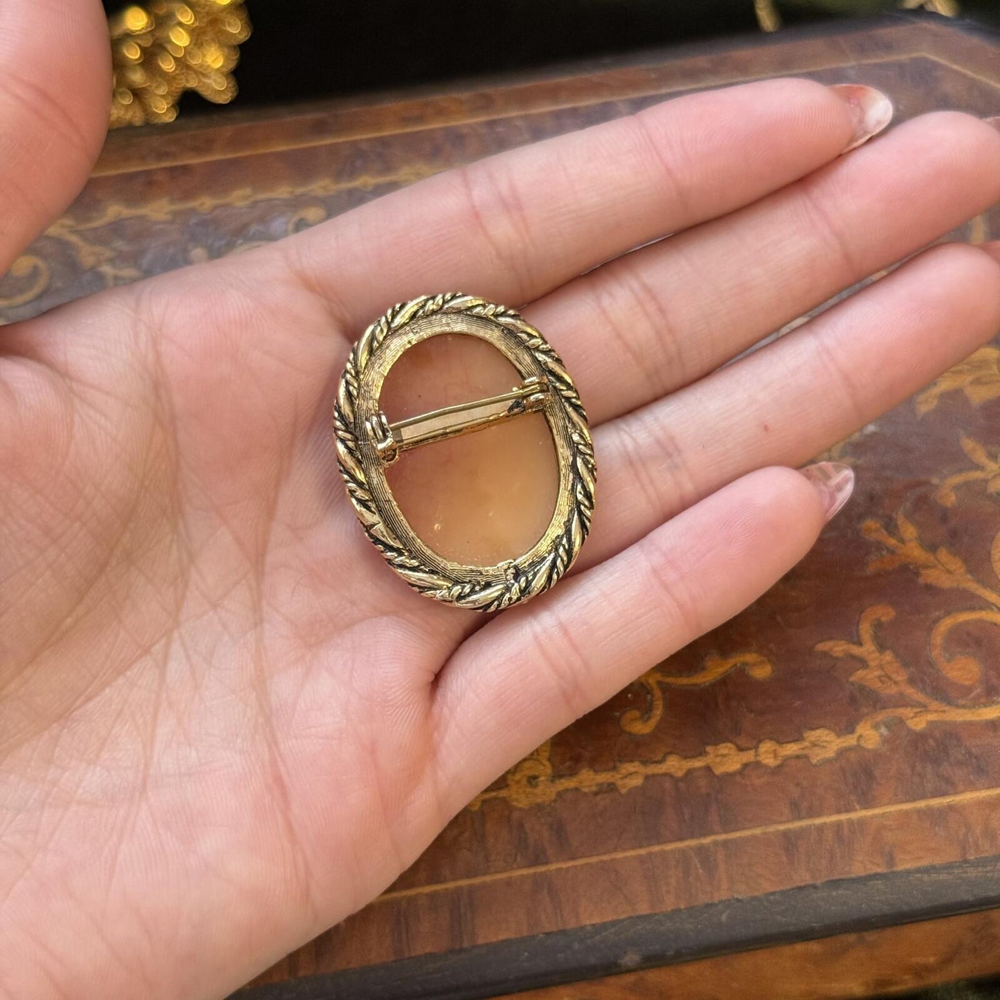 Vintage Resin Acrylic Cameo Brooch