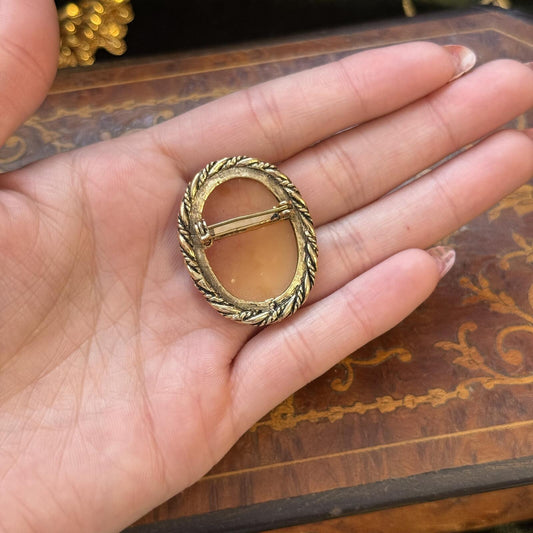 Vintage Resin Acrylic Cameo Brooch