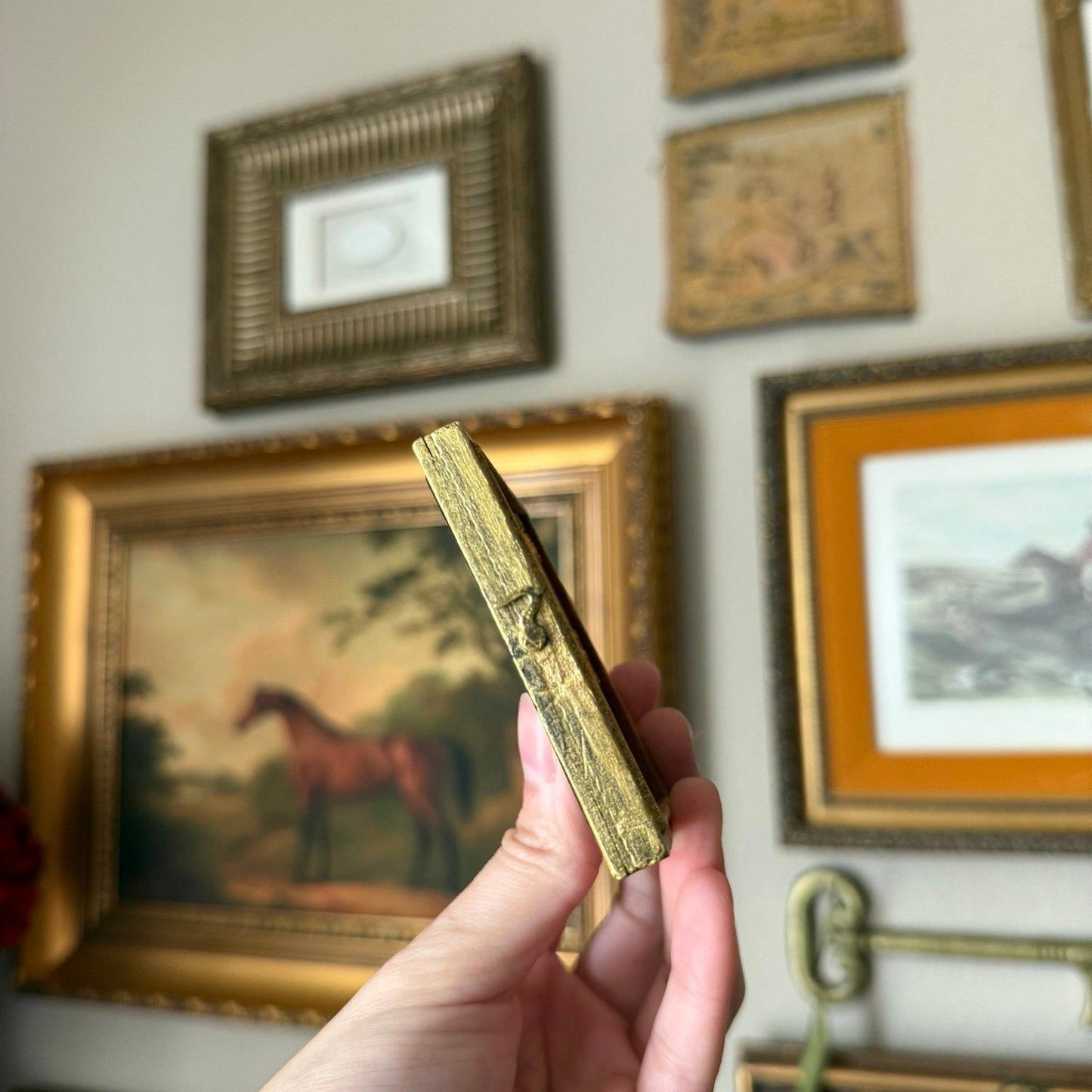Ambrotype Antique Portrait of a Man Photo