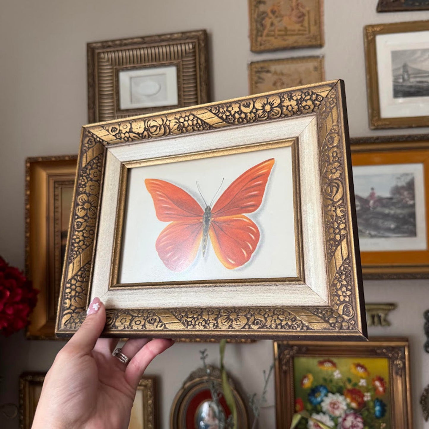 Vintage Framed Butterfly Print