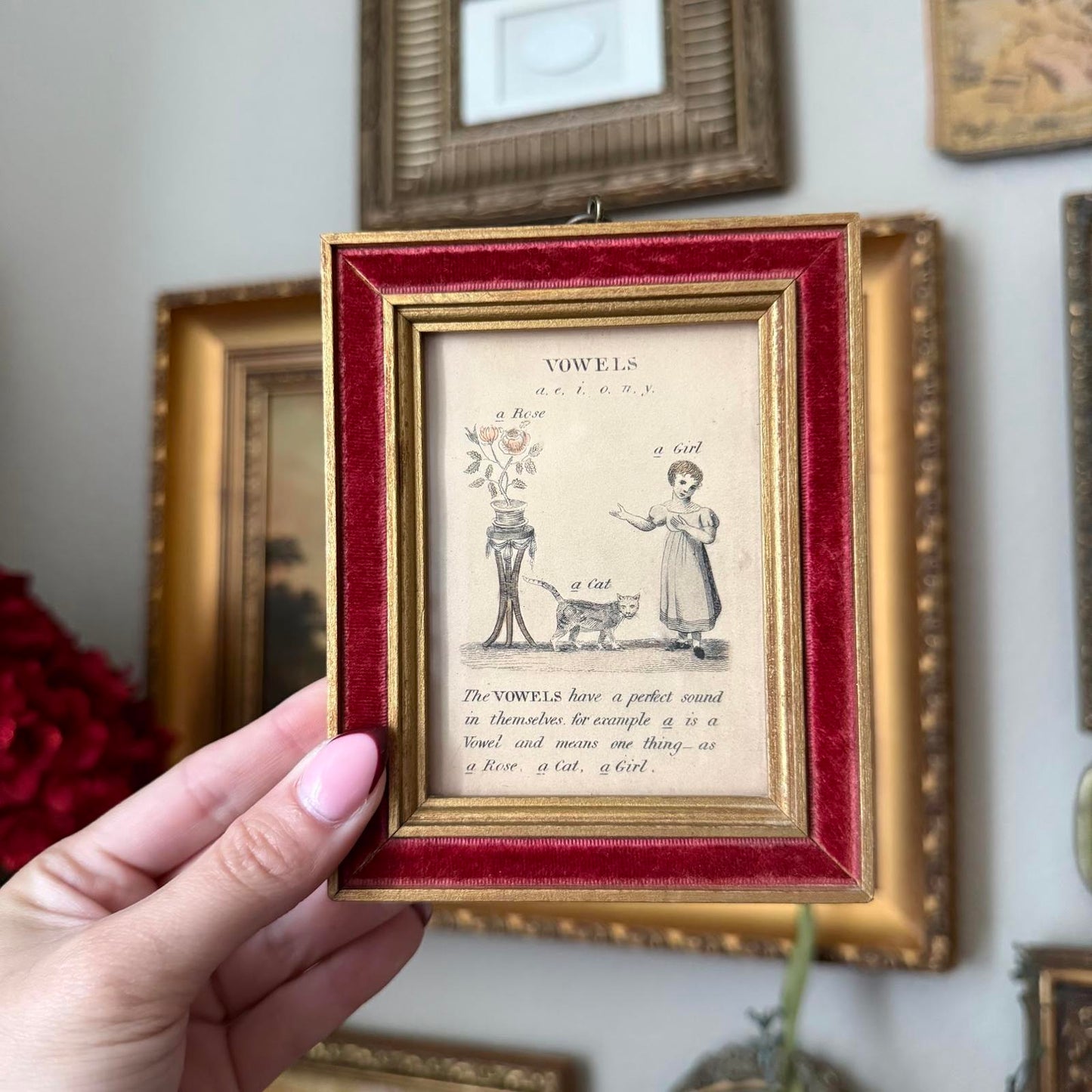 Antique 1800s Framed English Grammar Teaching Prints Velvet Art Wall Decor Set