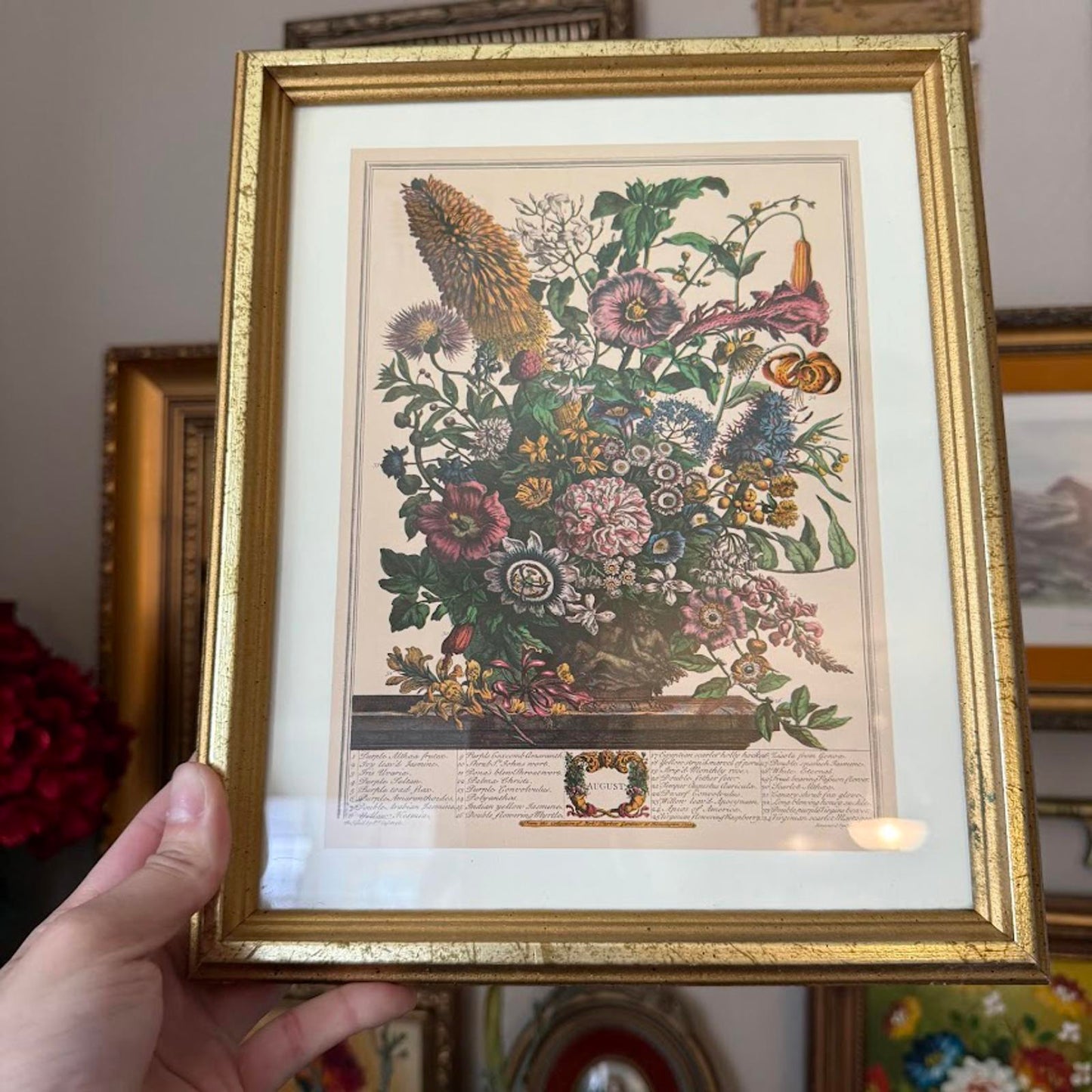 Vintage Floral Framed Print