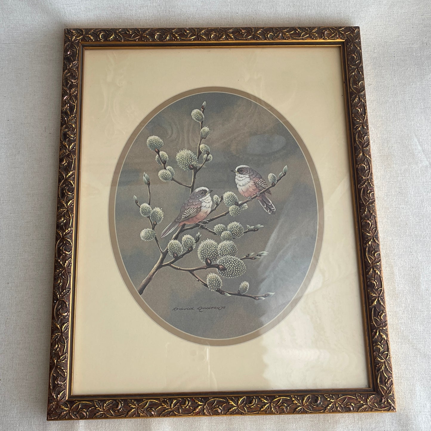 Vintage ornate Bird Art Framed