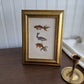 Vintage Style Fish trio framed Print gallery wall