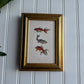 Vintage Style Fish trio framed Print gallery wall