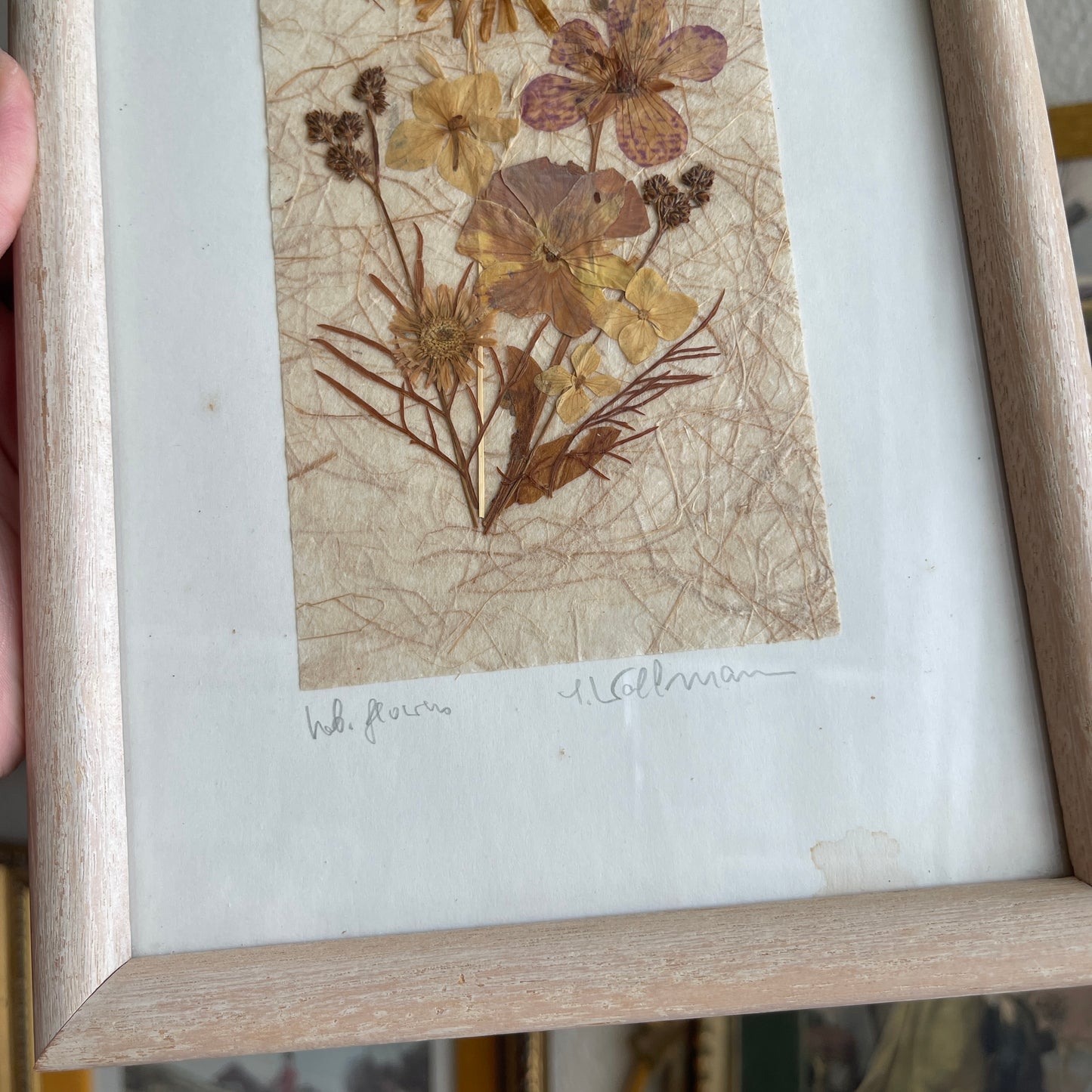 Set of 2 Dried flower art framed