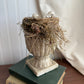 Bird nest on pedestal