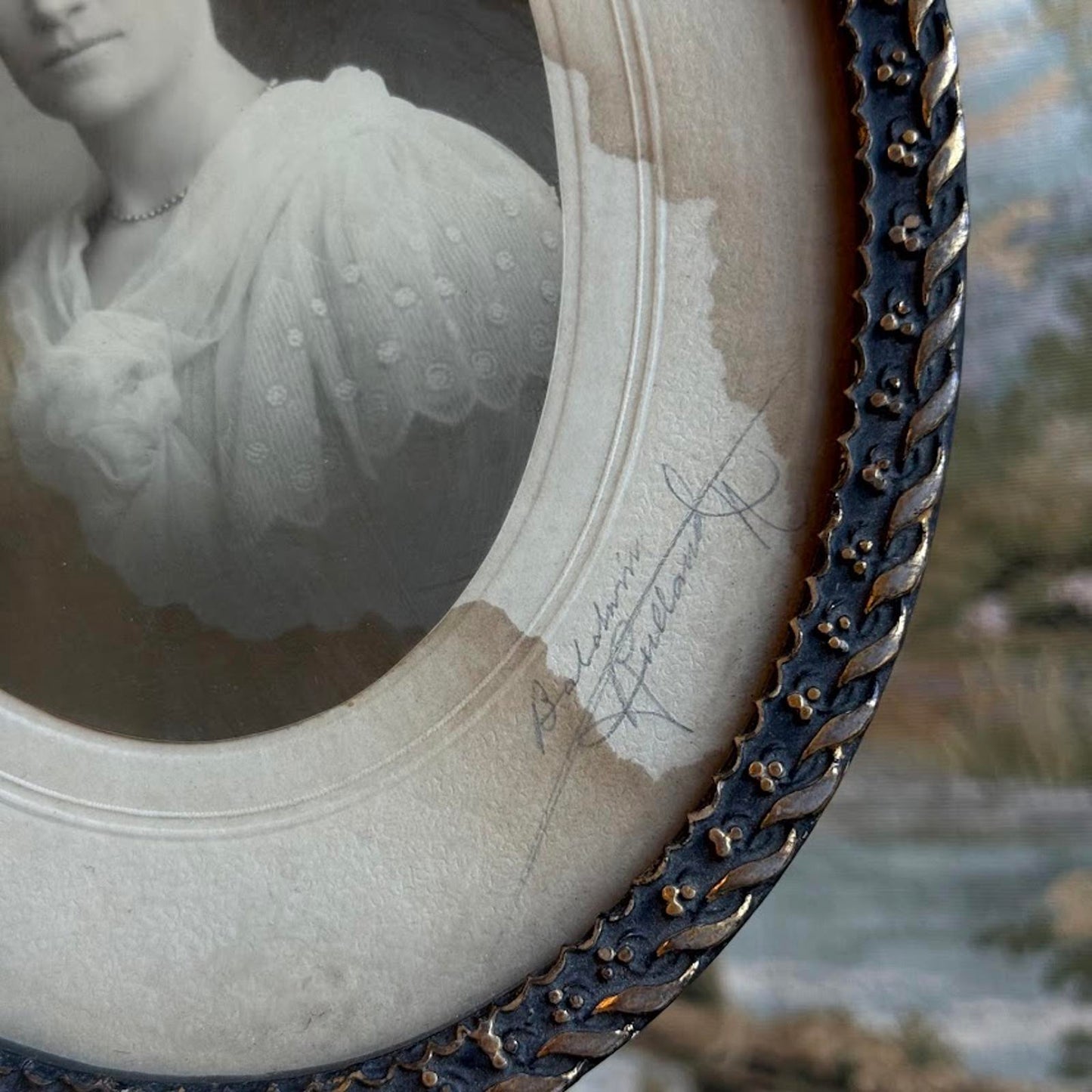 Antique Original Lady Portrait Photograph