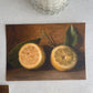 Still Life Fruit Moody Prints Only