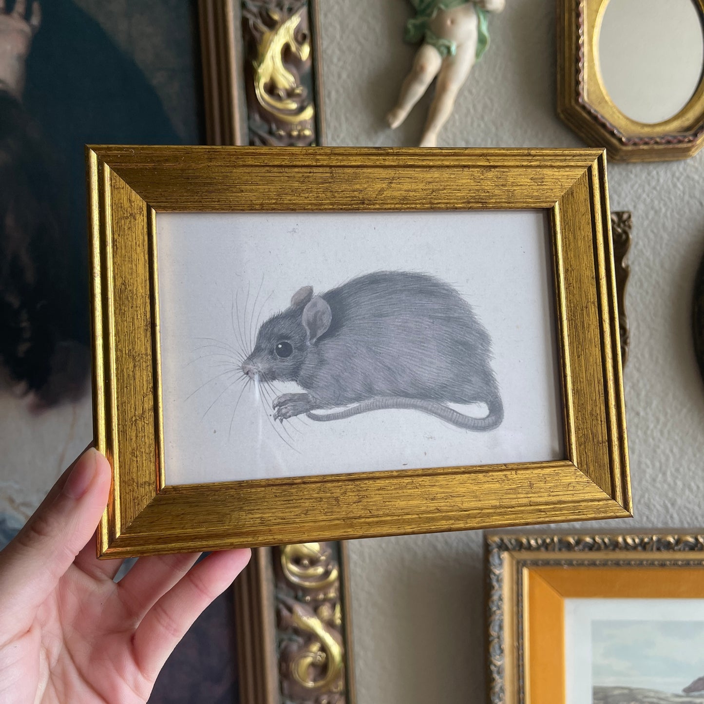 Vintage style Baby Rat art Print gallery wall