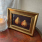 Still Life Pears Framed Art Print