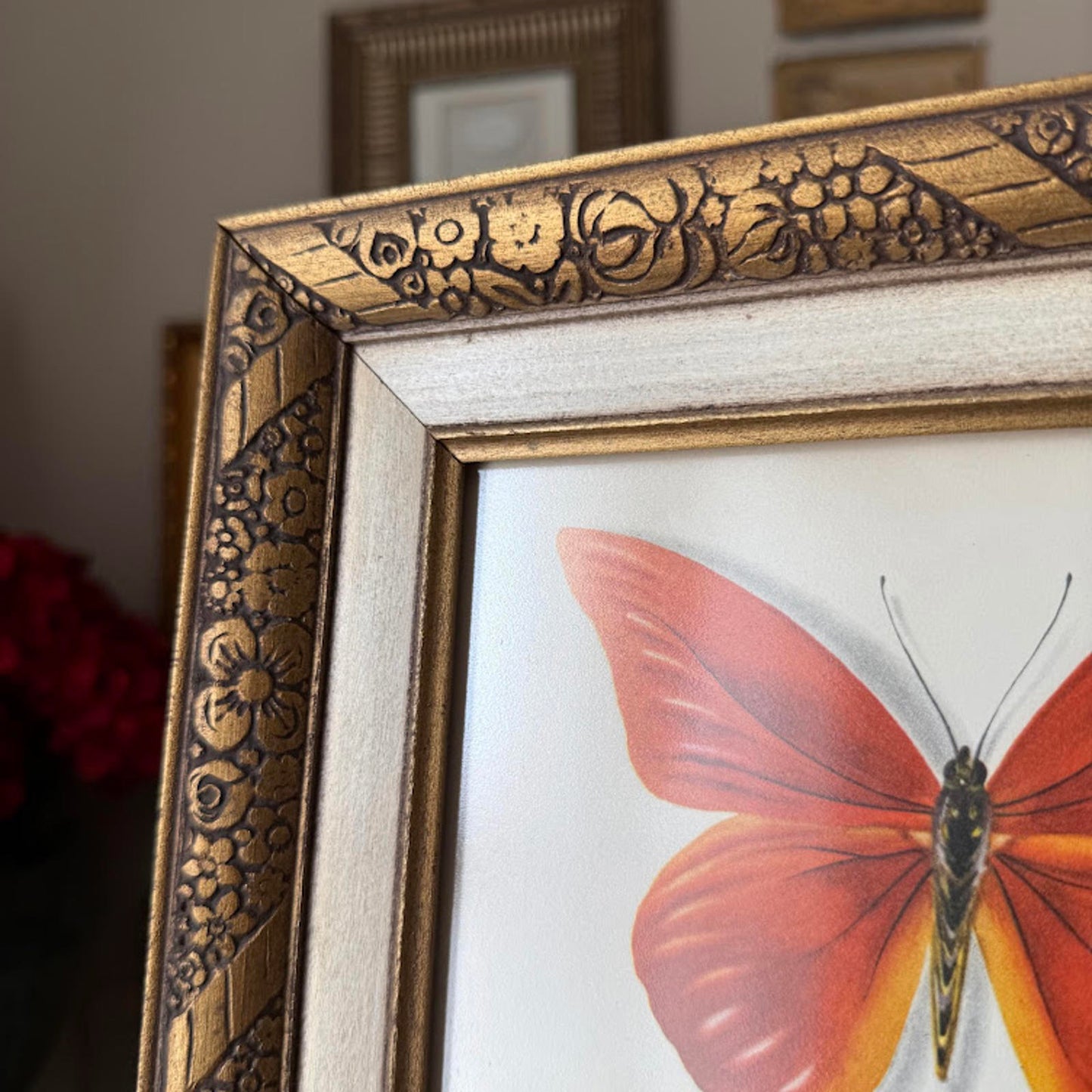Vintage Framed Butterfly Print