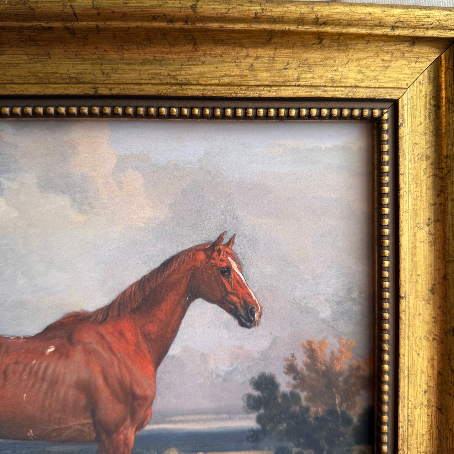 Vintage Inspired Horse in Landscape Framed Art Print Gallery Wall