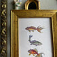 Vintage Style Fish trio framed Print gallery wall