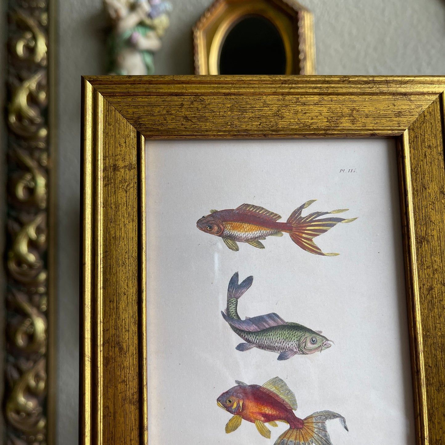 Vintage Style Fish trio framed Print gallery wall