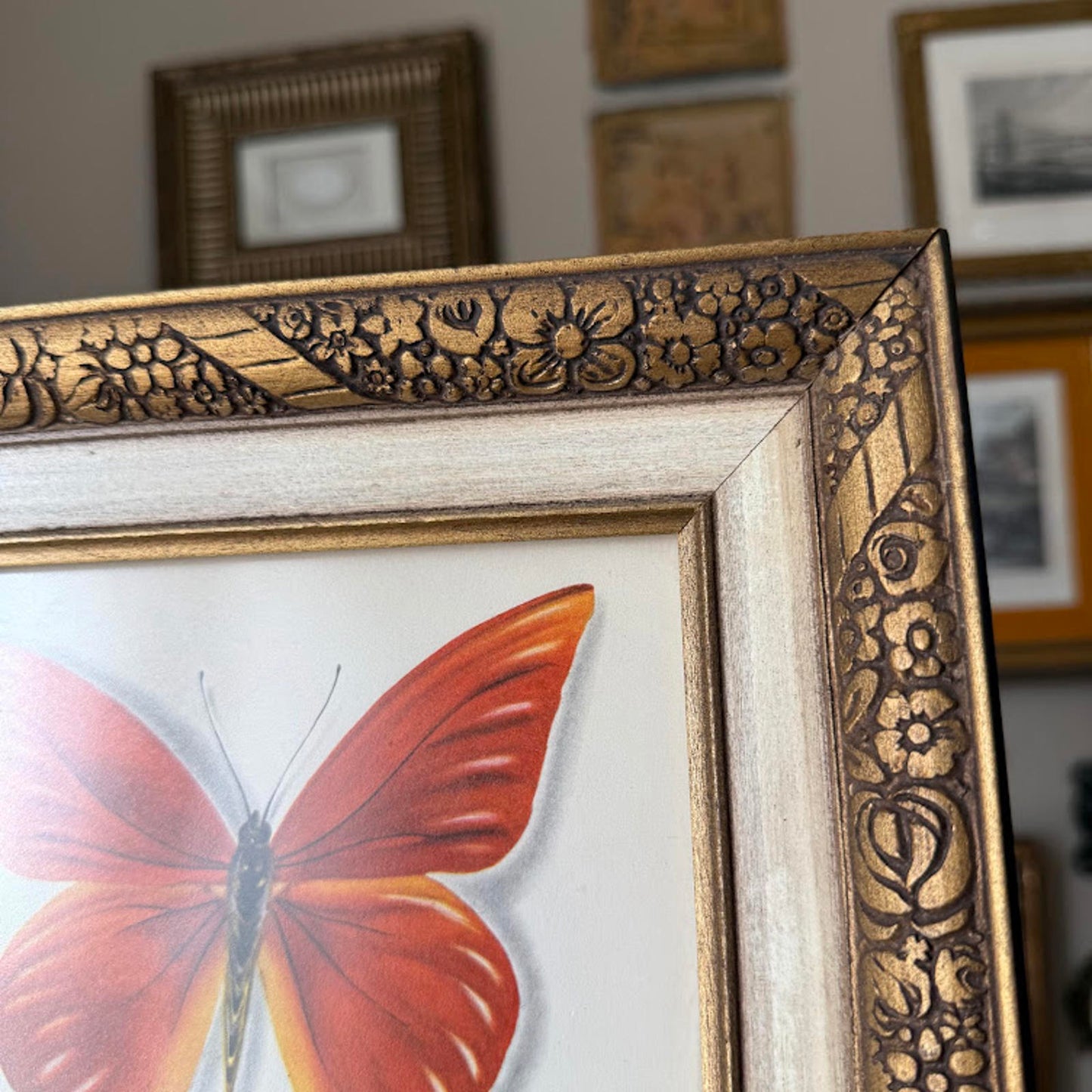 Vintage Framed Butterfly Print