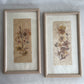 Set of 2 Dried flower art framed