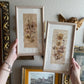 Set of 2 Dried flower art framed