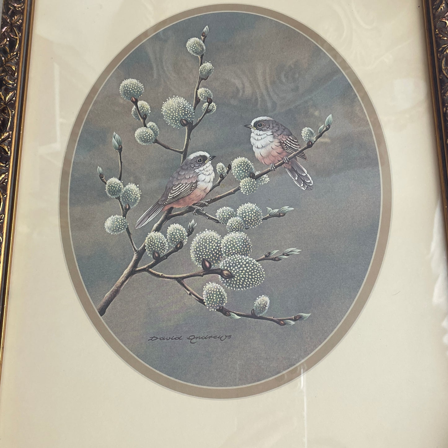 Vintage ornate Bird Art Framed