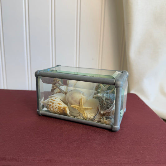 Sand and Shell beveled glass