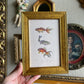 Vintage Style Fish trio framed Print gallery wall