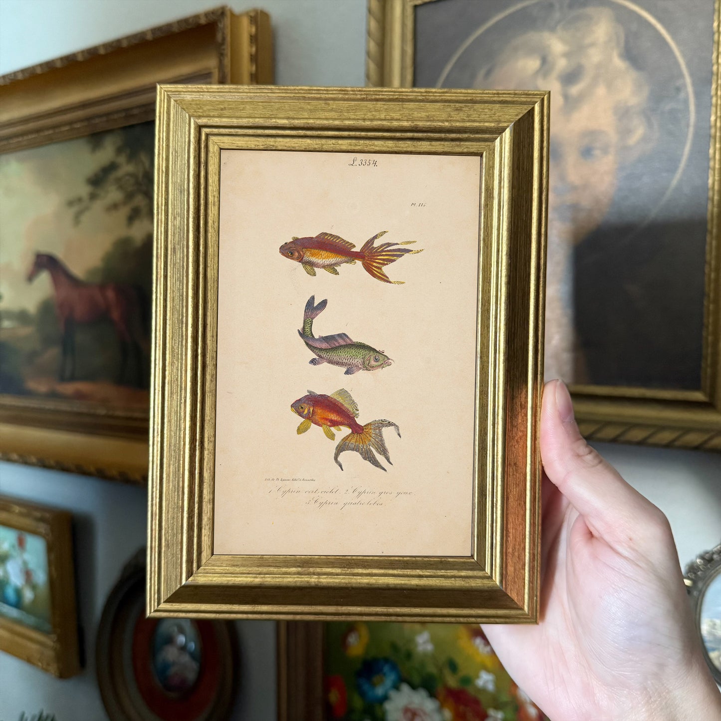 Vintage Style Fish trio framed Print gallery wall