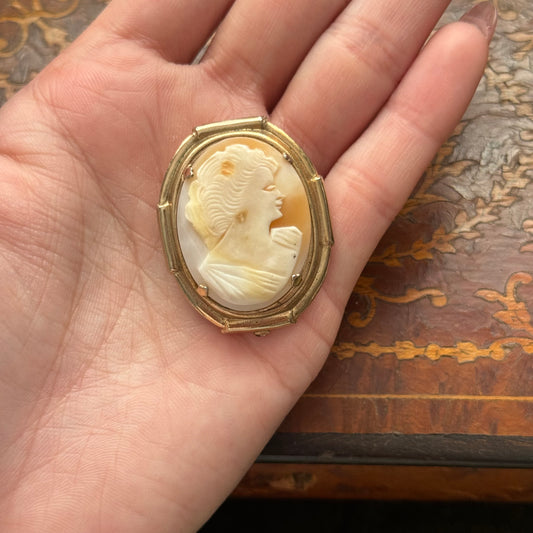 Vintage shell Cameo shelf