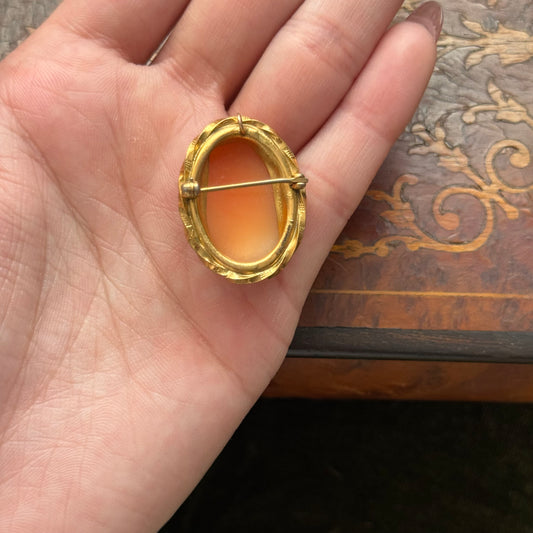 Vintage Shell Cameo Pendant Brooch