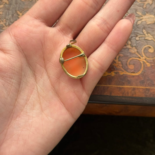 Vintage Shell Cameo Pendant Brooch